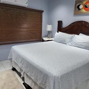 Bed & Breakfast The President 5 Minutes To Devon House 4 Waterloo Avenue, Kingston